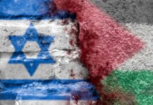 Israël-Palestine : octobre 2023-octobre 2024, quel bilan? Israël-Palestine